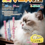猫フェス2026年