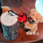 Mr.オノヅカ