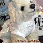 10-C.吉川照美 Fantasy