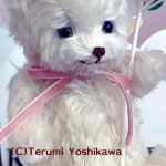 10-A.吉川照美　Trip love　抽選結果