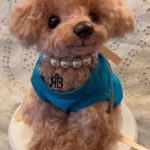 No.08　吉川照美　TOY 店長