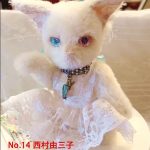 No.14 西村由三子　アルパカねこ