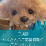 ご挨拶 ご挨拶