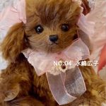 NO.04 水嶋広子 テディドッグ・ショコラ