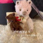 20.小町さえり ドレスベア 女の子&抱きくま