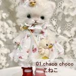 01.chaco choco こねこ　抽選結果