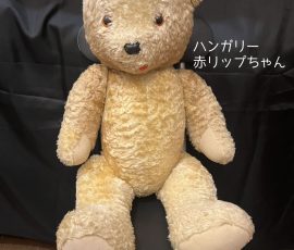 ハンガリー 赤リップちゃん