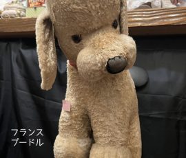 フランス プードル