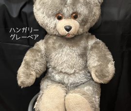 ハンガリー グレーベア