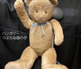 ハンガリー つぶらな目の仔