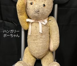 ハンガリー ポーちゃん