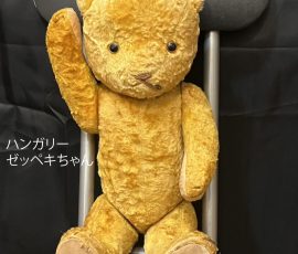 ハンガリー ゼッペキちゃん